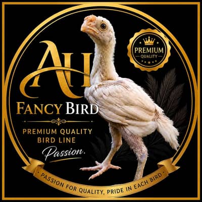 AH FANCY BRID