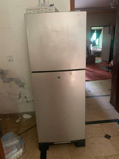 hair Refrigerator for sale