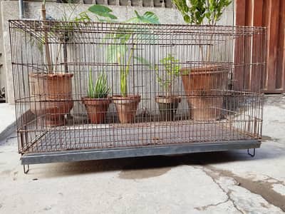 Parrot Cage | Hen Cage | Aseel Cage | Flying Cage