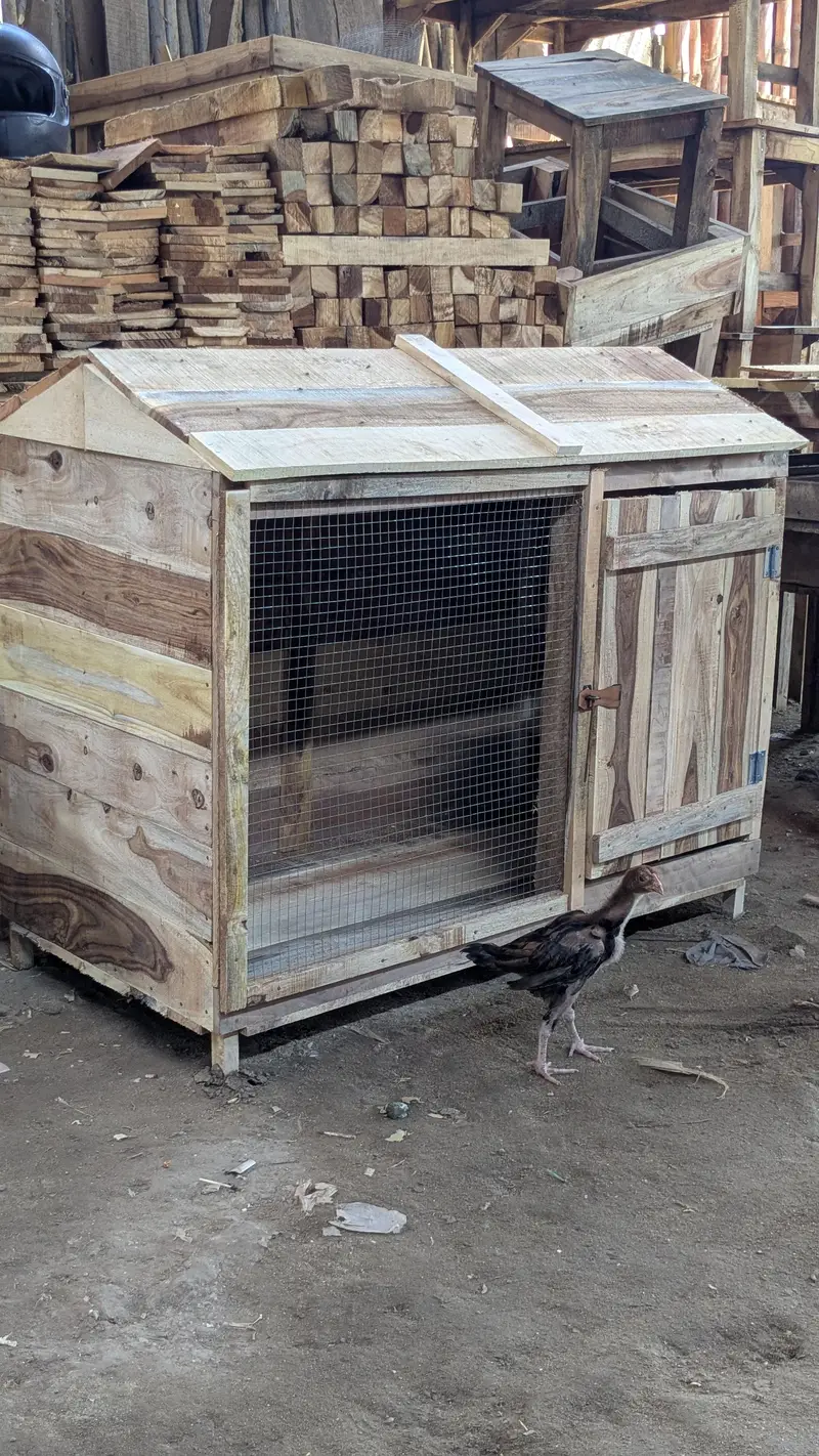 Cages In wooden — photo 2