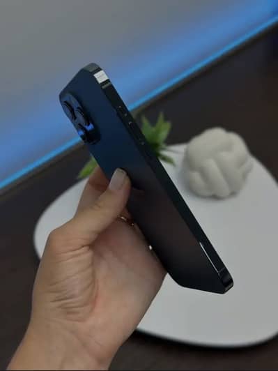 Apple iPhone 12 Pro Max