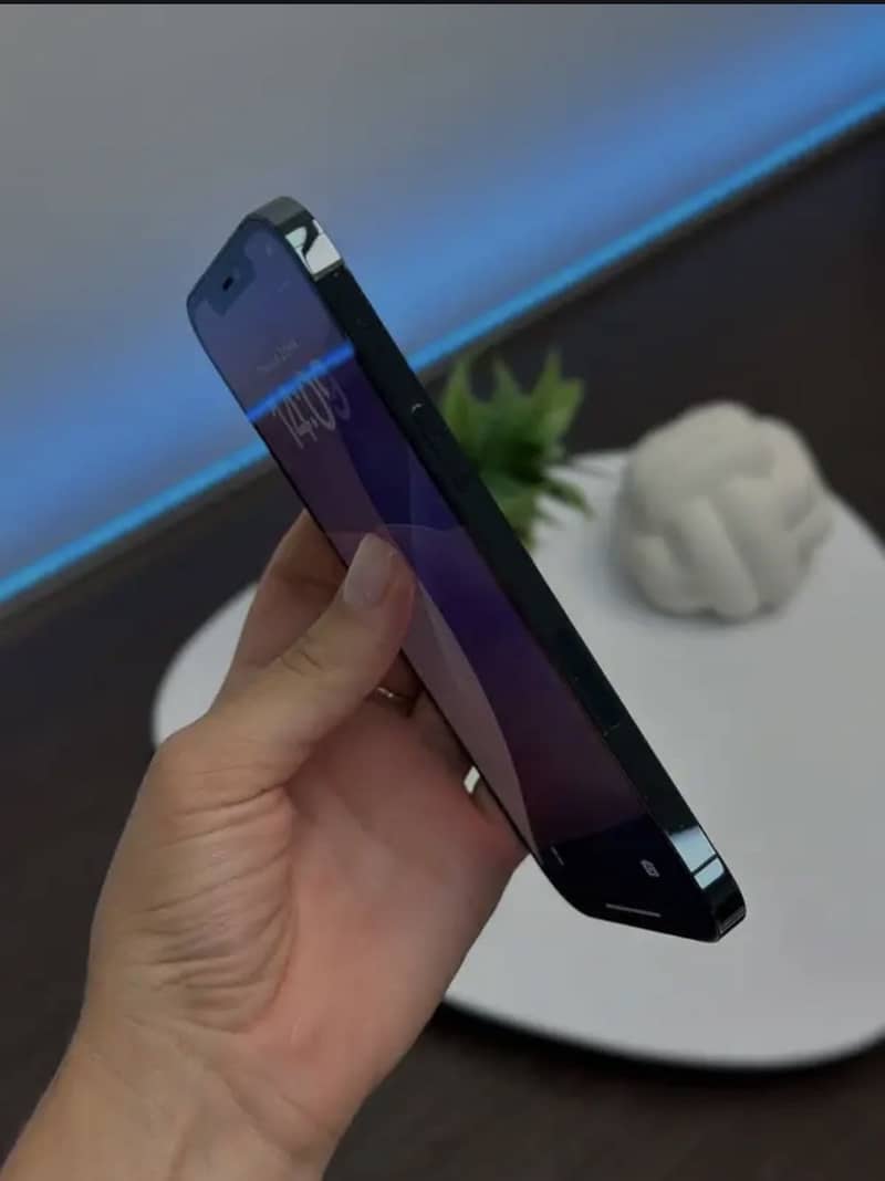 Apple iPhone 12 Pro Max 2