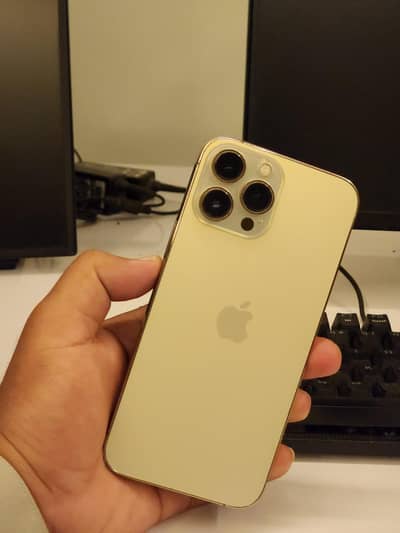 Apple iPhone 13 Pro Max