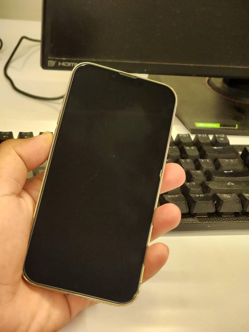 Apple iPhone 13 Pro Max 1