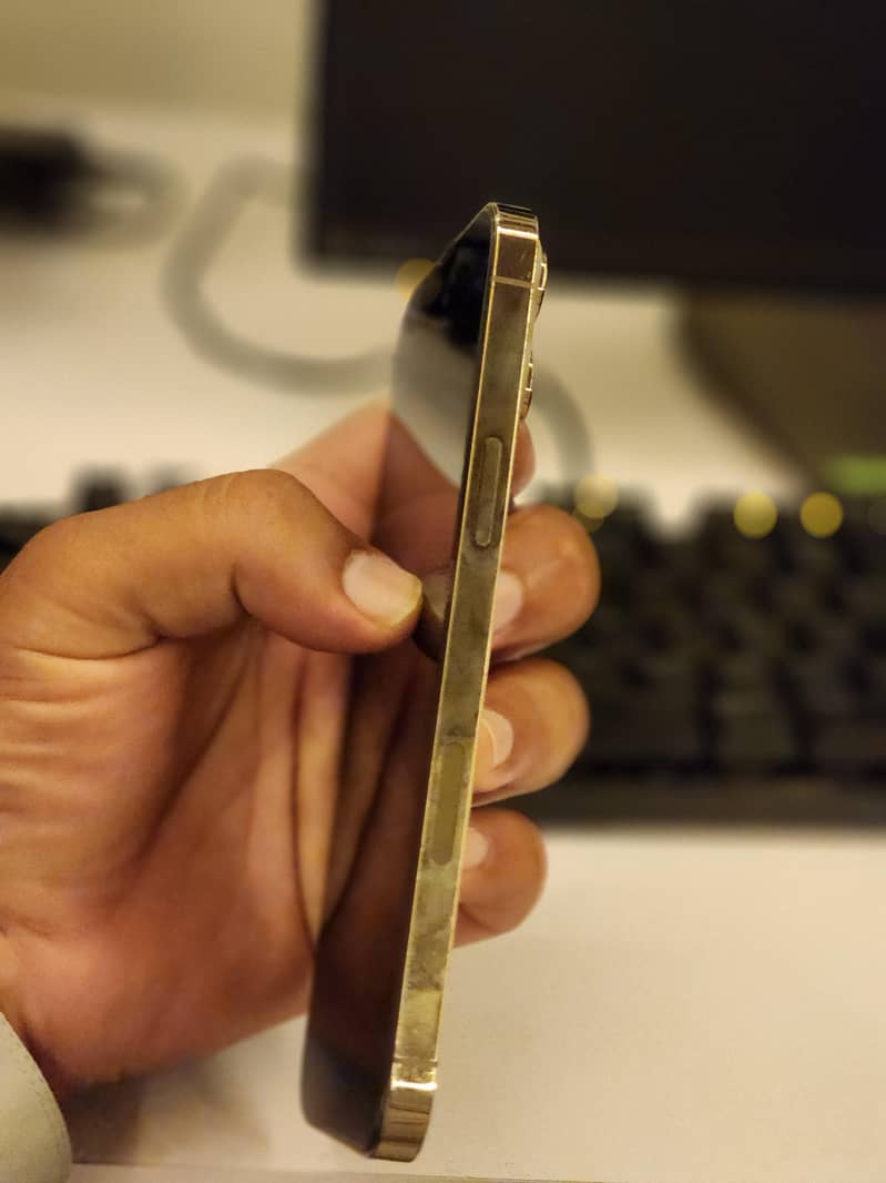 Apple iPhone 13 Pro Max 5
