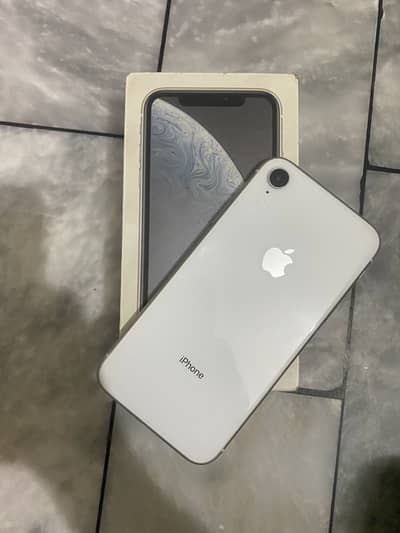 iPhone XR (Pta Approved )