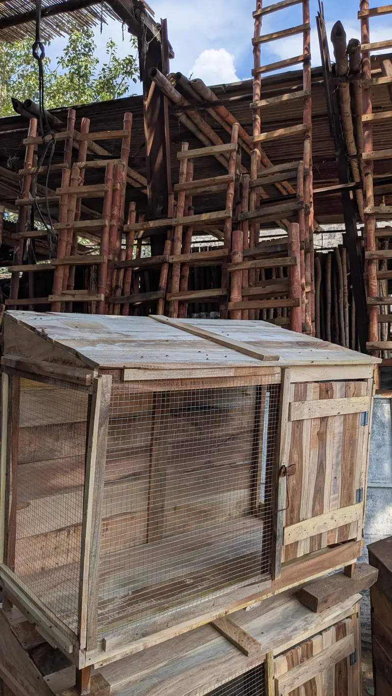 cages in wooden — photo 3