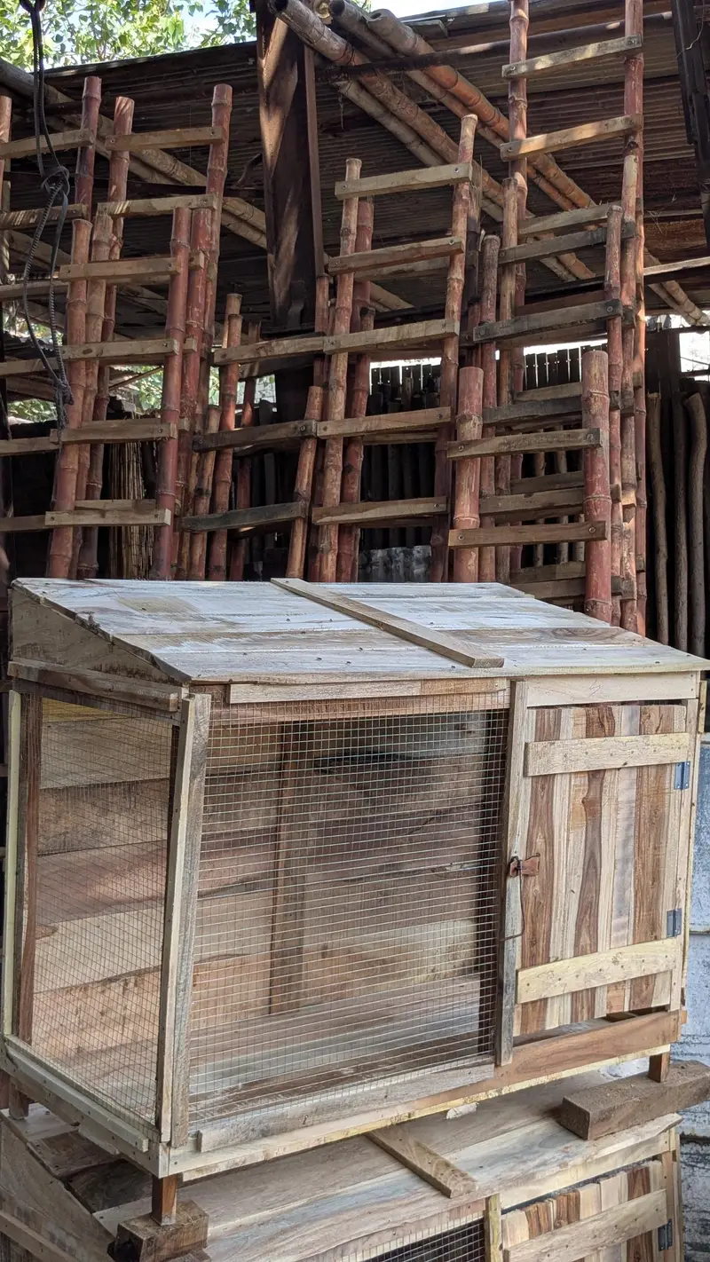 cages in wooden — photo 4