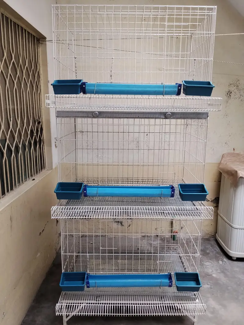 3-Story Heavy-Duty Poultry Cage for Sale — photo 7