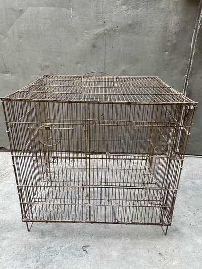 Cage ,birds,lovebirds,perots