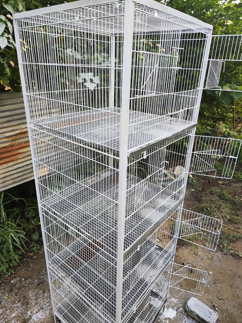 Hen cage 4