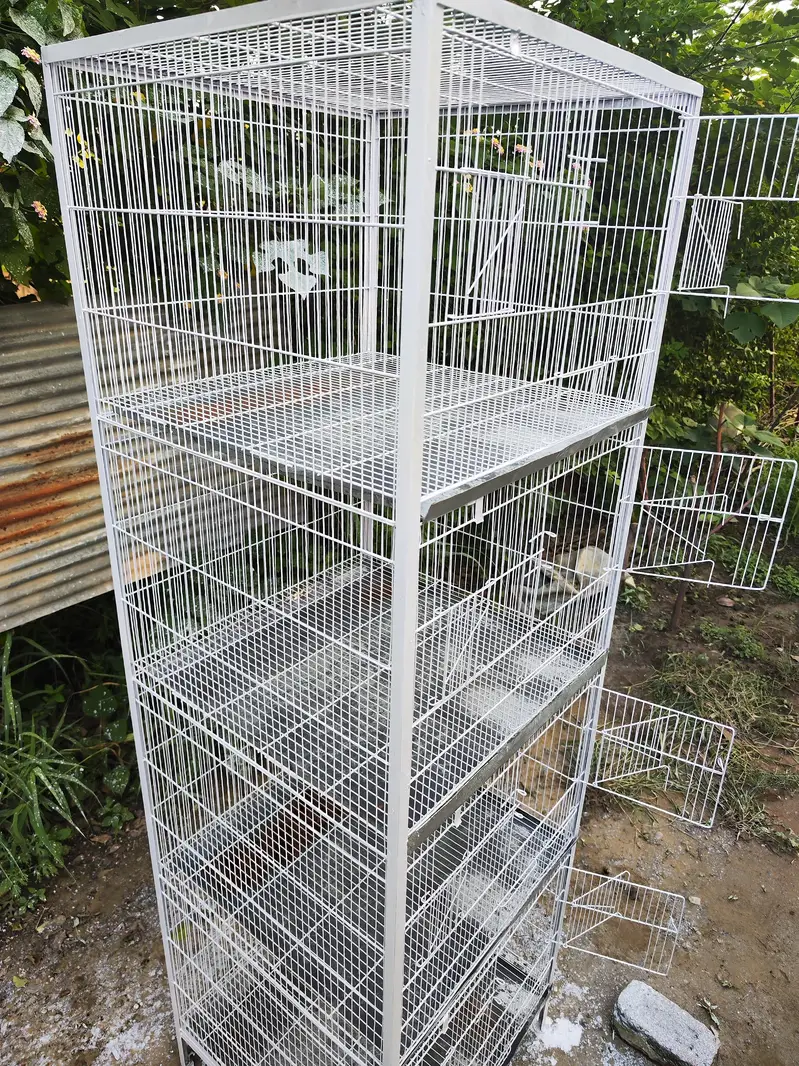 Hen cage — photo 5