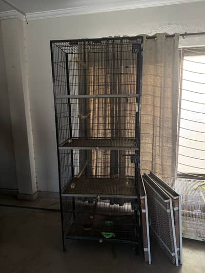 2.5 by 1.5 cage for sale and cockateils