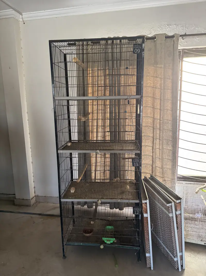 2.5 by 1.5 cage for sale and cockateils — photo 2