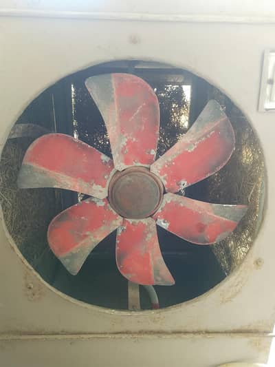 room cooler