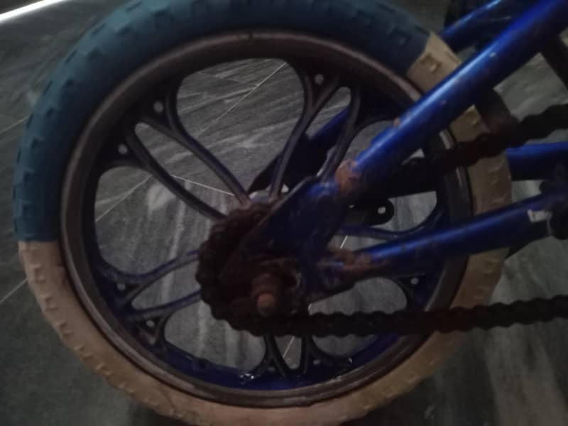 bmx imported cycle 6