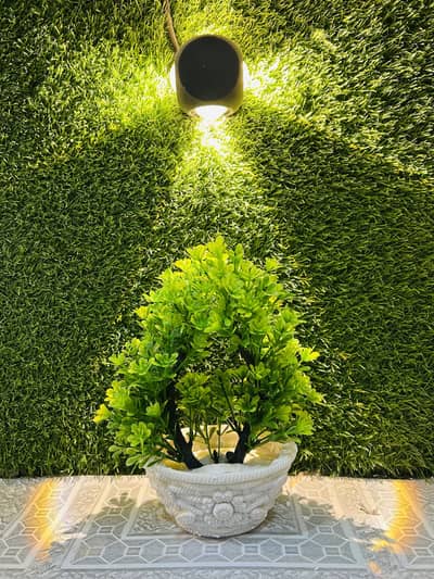 Artificial plants 