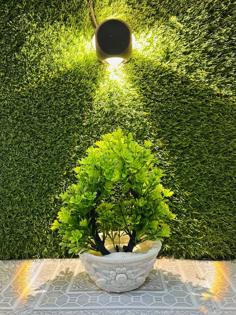 Artificial plants  0