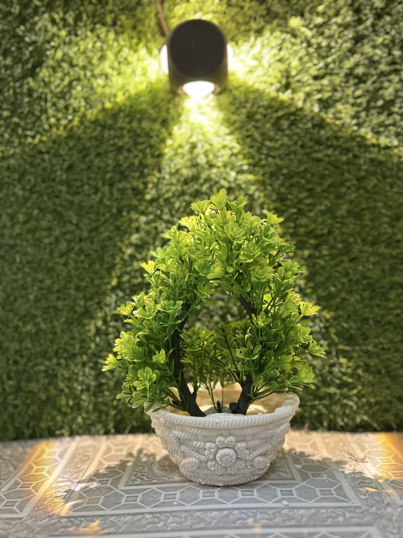 Artificial plants  2