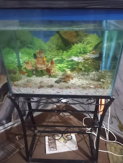 urgent sale fish aquarium