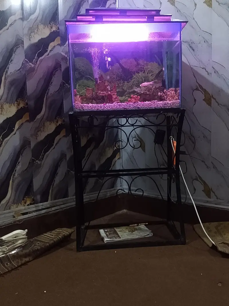 urgent sale fish aquarium — photo 8
