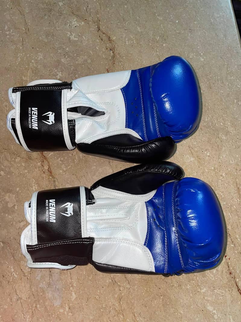 boxing gloves 1