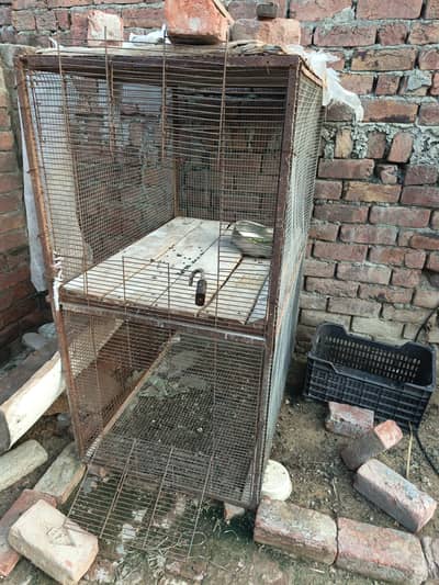 hens cage double portion