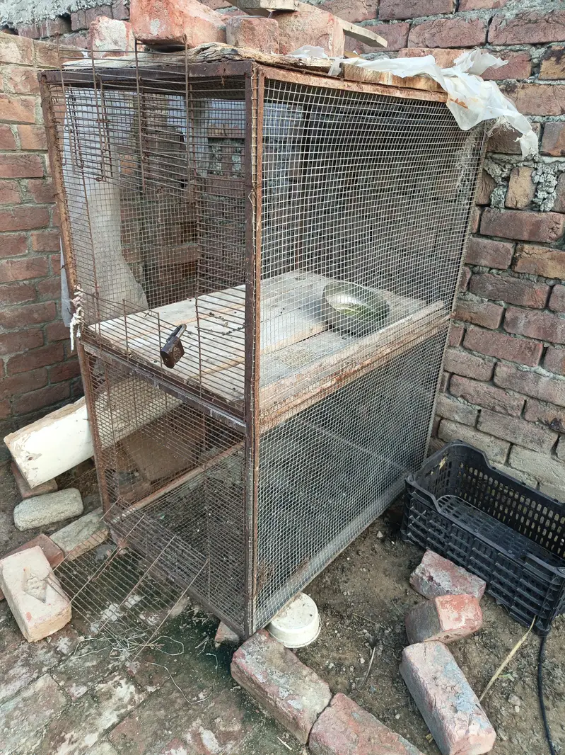 hens cage double portion — photo 2