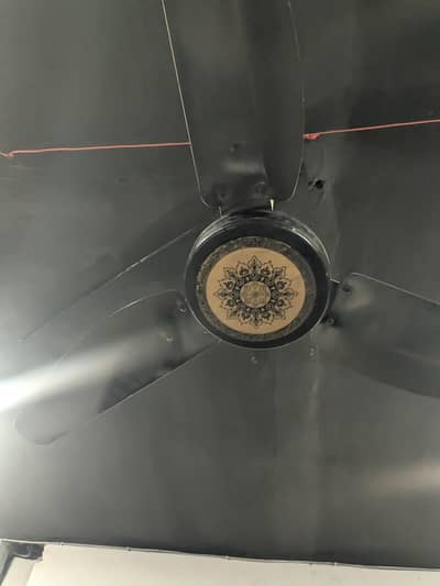 ceiling fan