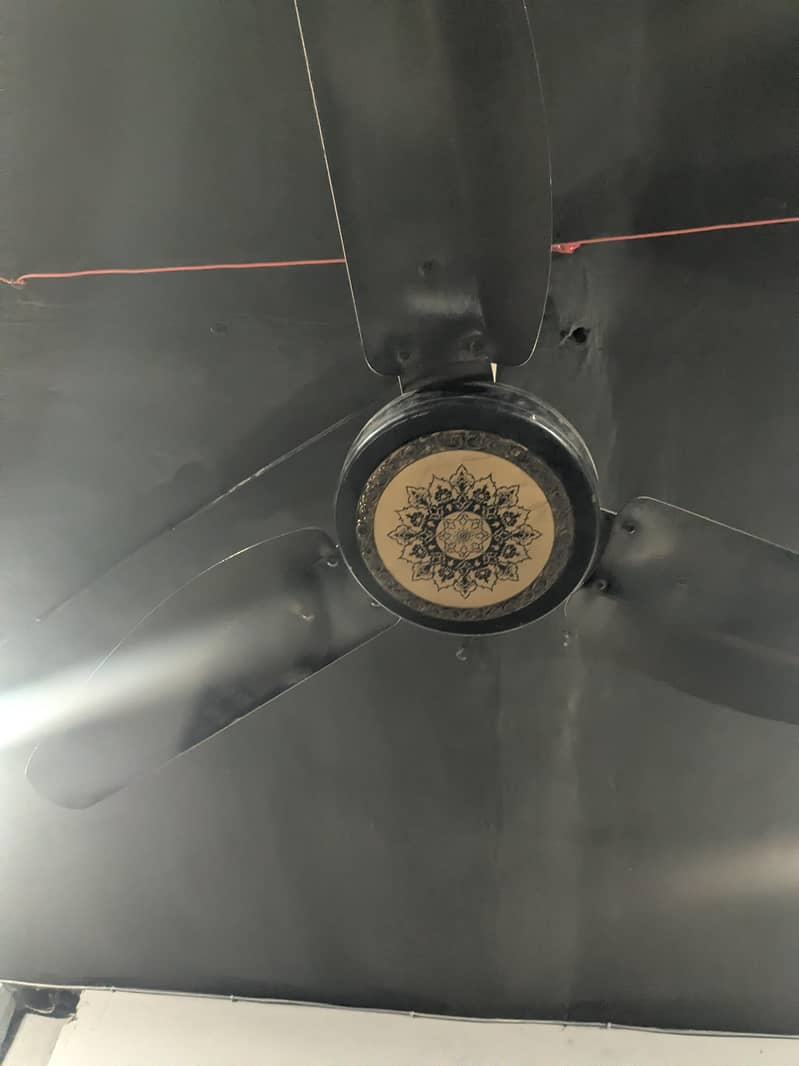 ceiling fan 0