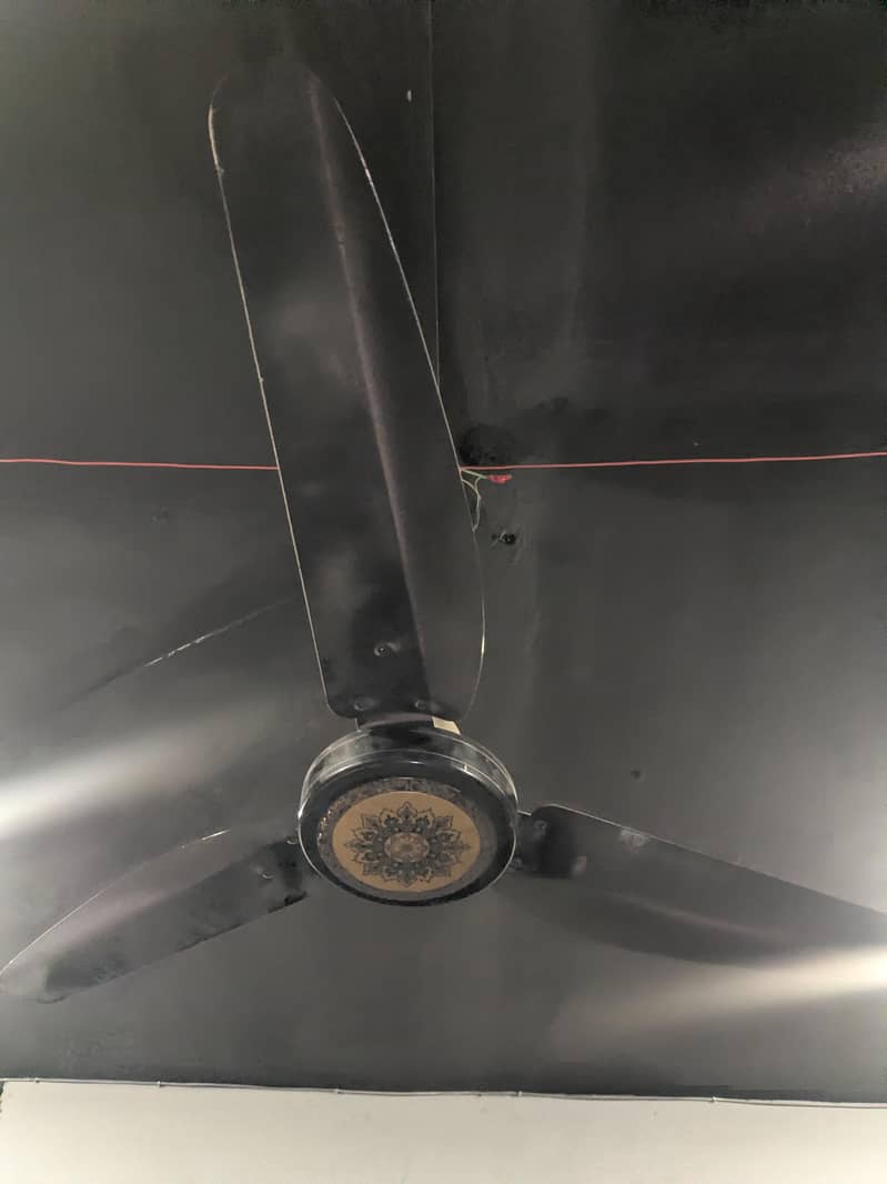 ceiling fan 1