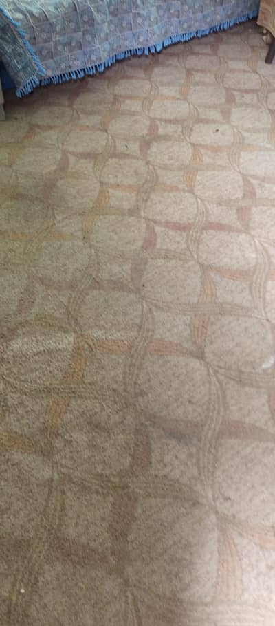 carpet