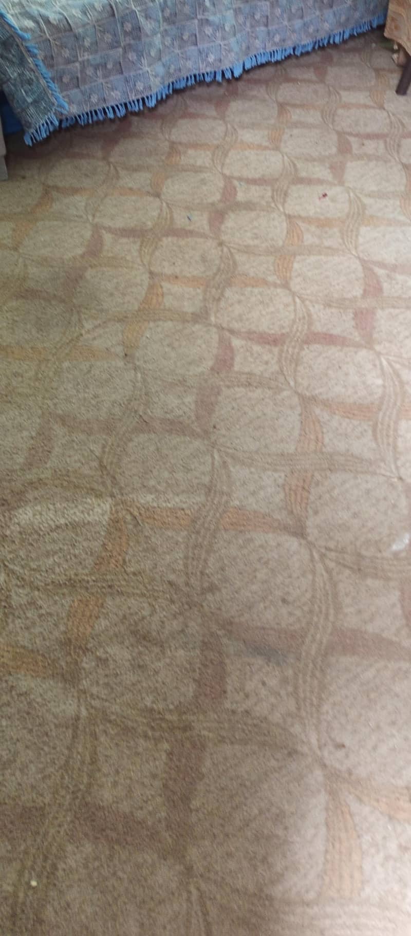 carpet 0
