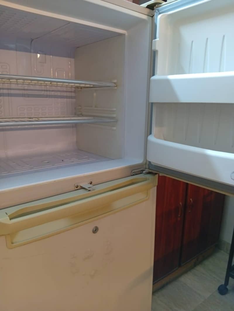 fridge 1