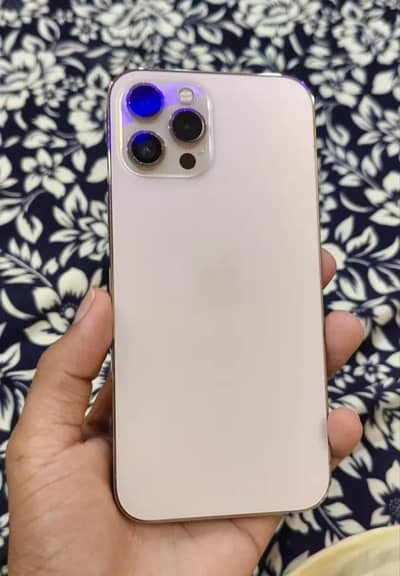 Apple iPhone 12 Pro Max