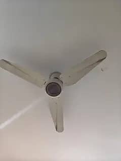 Ceiling fans forsale