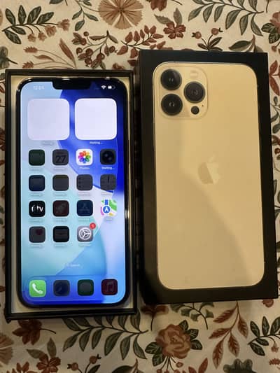 Apple iPhone 13 Pro Max