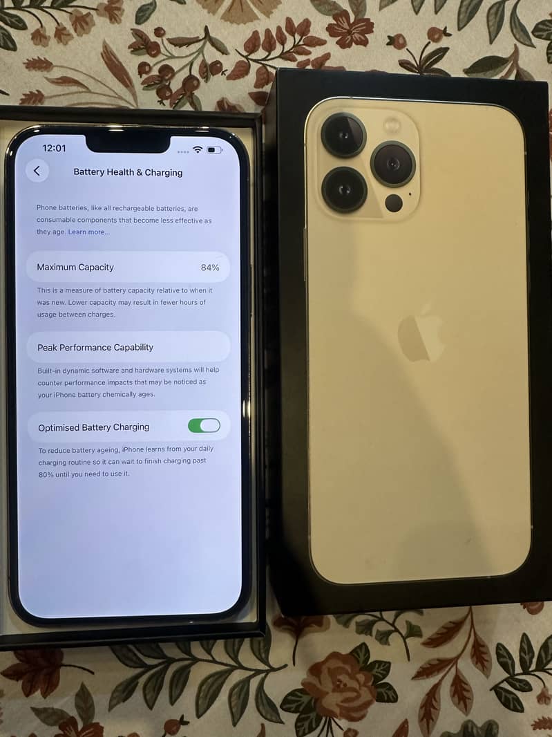 Apple iPhone 13 Pro Max 1