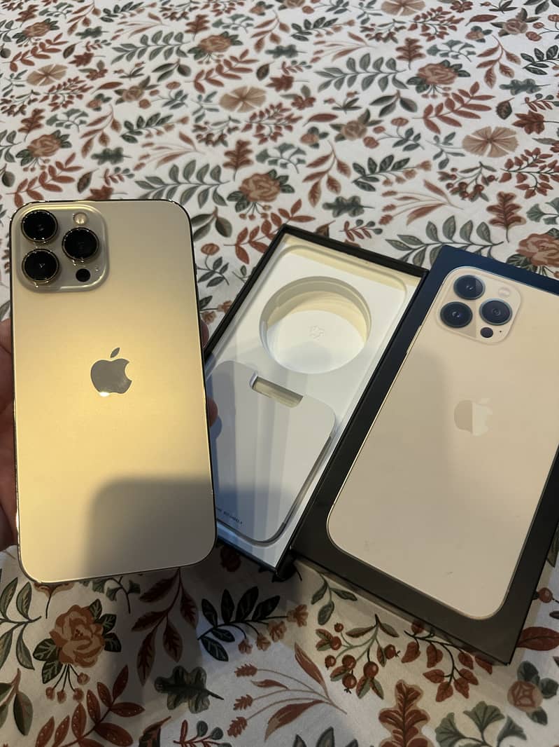 Apple iPhone 13 Pro Max 2