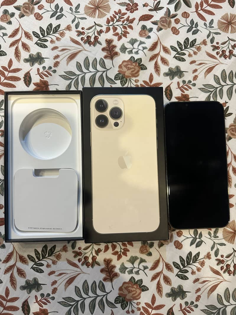 Apple iPhone 13 Pro Max 5