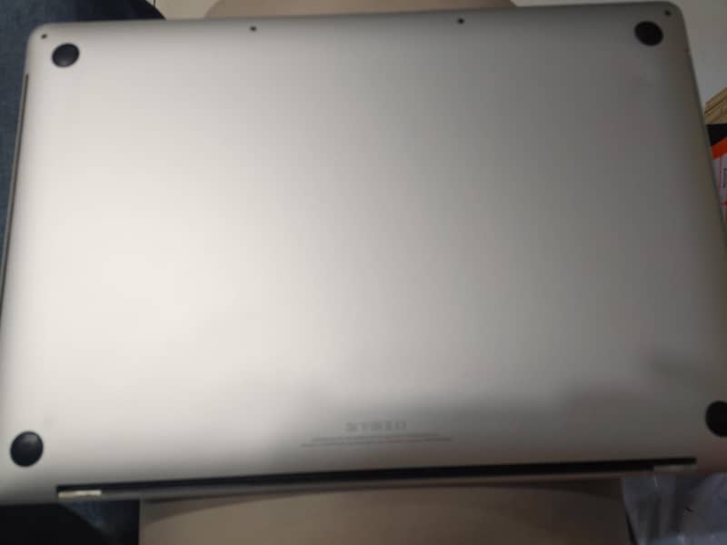 Apple 7