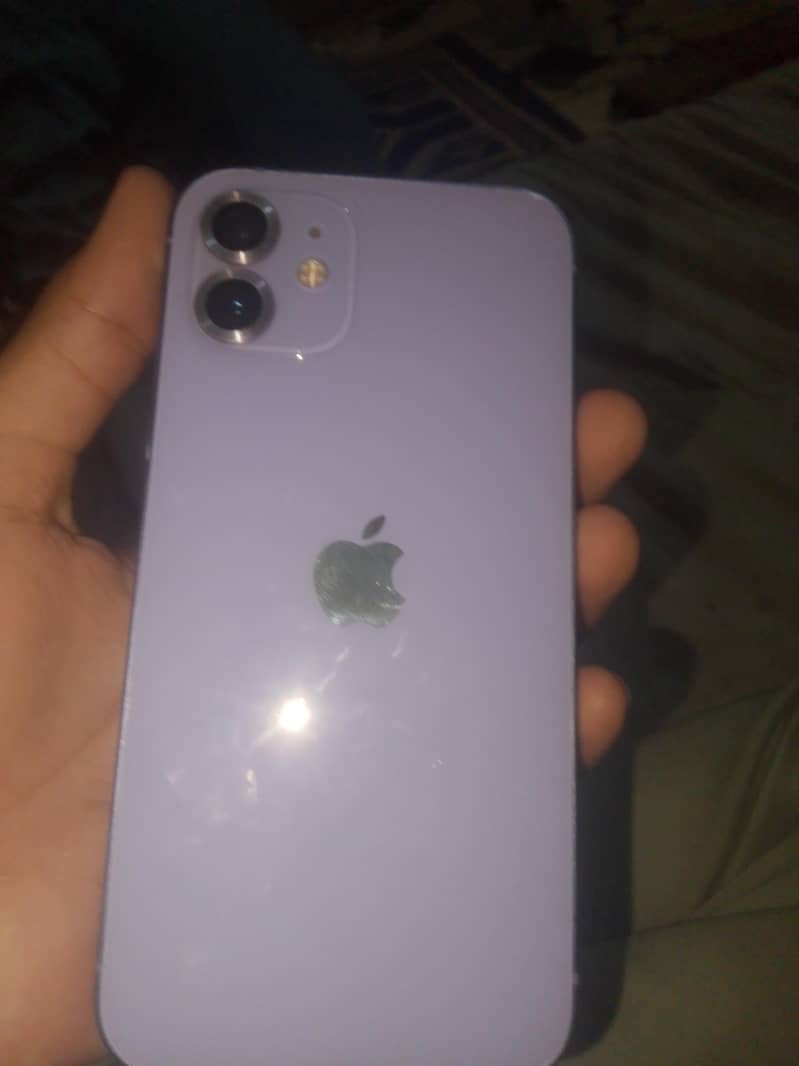 Apple iPhone 12 1