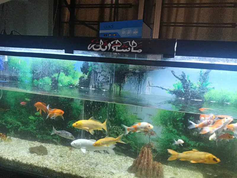 Aquarium for sale — photo 3