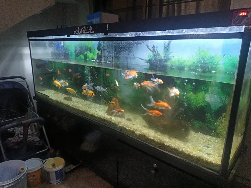 Aquarium for sale — photo 4