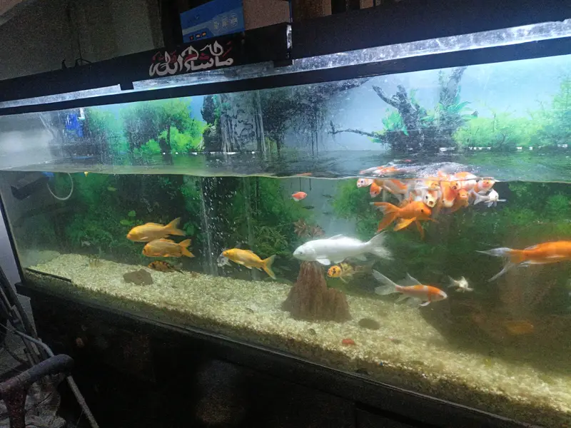 Aquarium for sale — photo 7