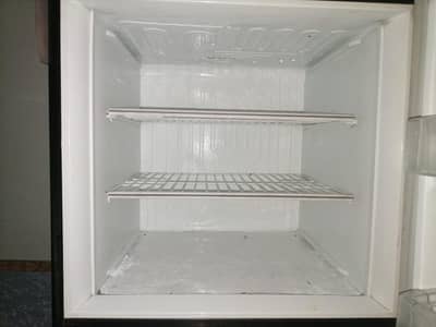 Pel Desire Refrigerator(medium) 2012 model