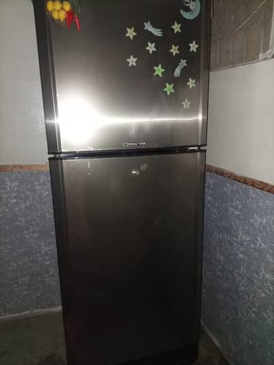 Pel Desire Refrigerator(medium) 2012 model