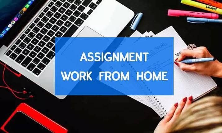 Assignment Writing/Typing 0