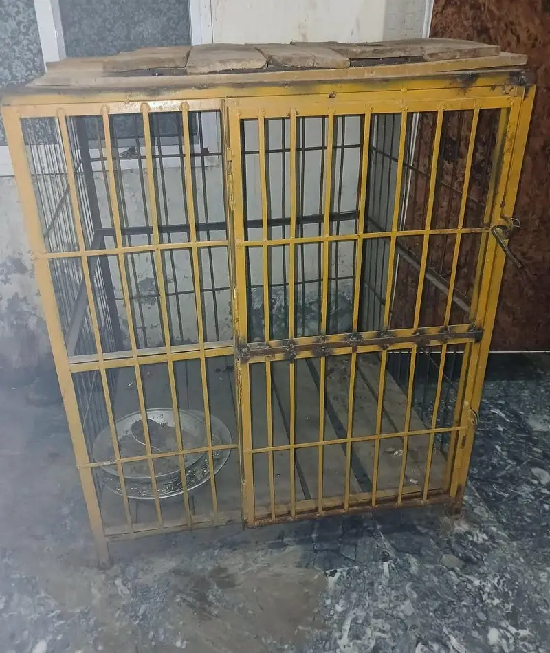 steel cages — photo 2