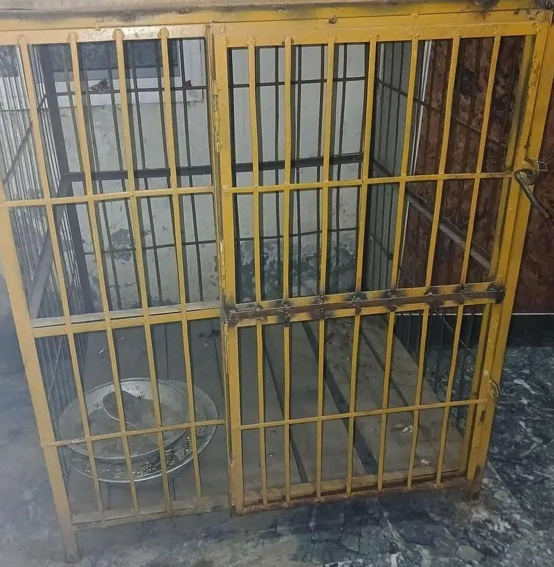 steel cages — photo 3